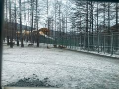 -横道河子东北虎林园