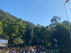 -西双版纳原始森林公园