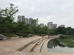 -新江湾城公园