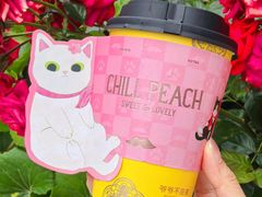 -重庆市奥林匹克体育中心-游泳跳水馆