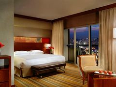 -新加坡瑞士史丹福酒店