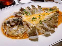 肉汁蒸大黄鱼-炳胜品味(海印总店)