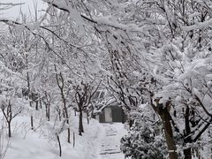 -四明山国家森林公园