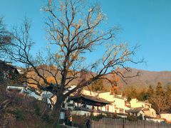 -塔川景区