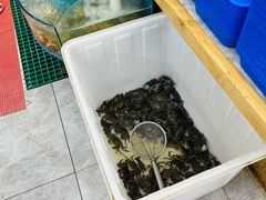 -仙螺岛海鲜自助餐厅(总店)