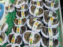 -南沙十九涌渔人码头-南门