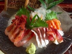 -左舞日本料理