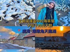 -烟墩角天鹅湖