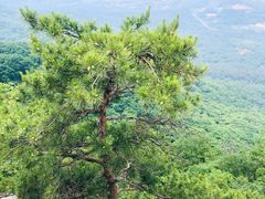 -丹东凤凰山景区