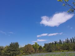 -东郊湿地公园