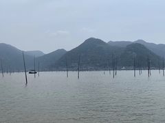 -北岐滩涂