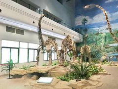 -自贡恐龙博物馆
