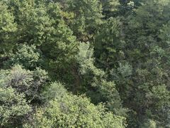 -磬锤峰森林公园