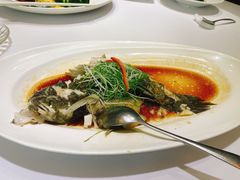 清蒸笋壳鱼-宝燕壹号(徐汇店)