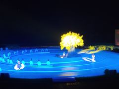 -鼎盛王朝康熙大典实景演出