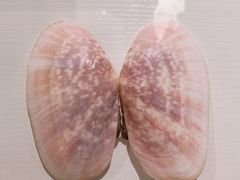 -青岛贝壳博物馆