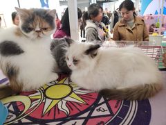 -瑞幸咖啡(凯德MALL大兴店)