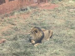 -昆明动物园