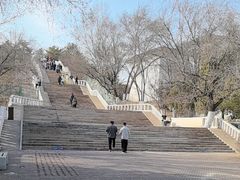 -乌素图国家森林公园