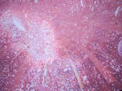 -芜湖方特东方神画