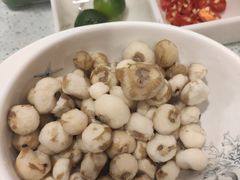 阳江珍珠马蹄-烹然四季椰子鸡火锅(团结湖总店)