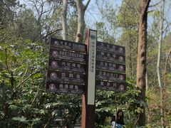 -云龙山