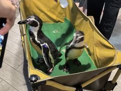 -太平洋海底世界