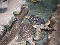 -南昌海洋公园