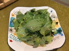 -松针蔡记蒸饺(花园路店)