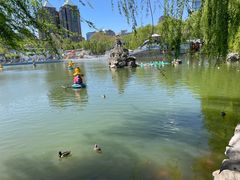 -团结湖公园