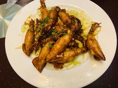 -朕悦鹧鸪饭私房菜