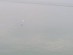 -贡湖湾湿地公园