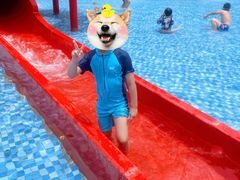 -苏州乐园森林水世界