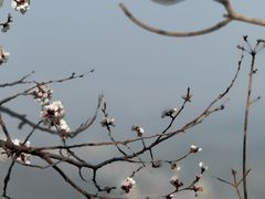 -香山公园