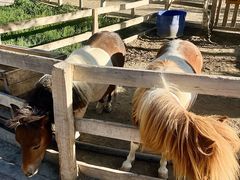 -水上乐园·欢乐世界