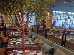 -同仁四季椰子鸡(海岸城天利店)