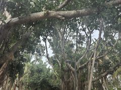 -白沙门生态公园