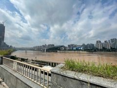 -李子坝梁山鸡(李子坝大鸡哥店)