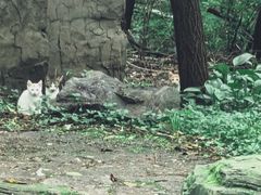 -沈阳植物园