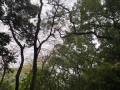 -潮州西湖