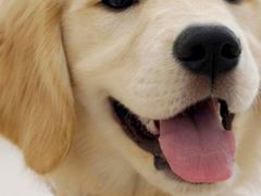 -吴佳拌米粉(川大店)