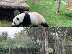 -济南野生动物世界