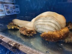 -百富源·海鲜辽菜(和平北大街店)