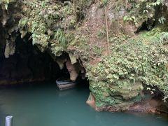 -怀托摩萤火虫洞