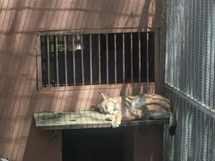 -青藏高原野生动物园