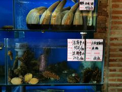 水产区-大唐名家·息壤店
