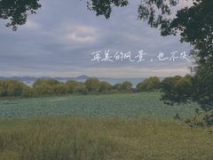 -上海市保健医疗中心