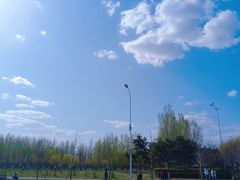 -丁香湖公园