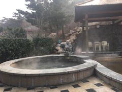 -徂徕山森林康养度假谷温泉