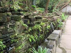 -老木棉·匠园